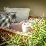 Modernes Olive Stilvoll Und Zentral In דירה *