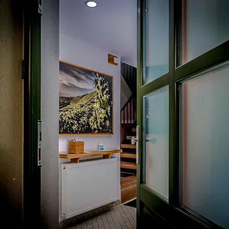 Modernes Olive Stilvoll Und Zentral In *