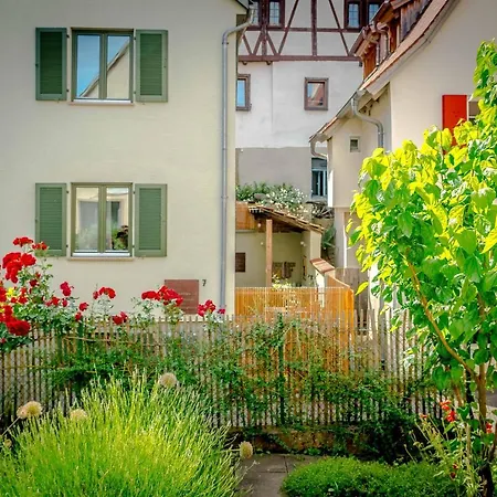 Besighomes Olive Apartment *