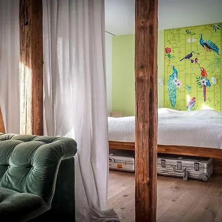 Apartment Modernes Olive Stilvoll Und Zentral In